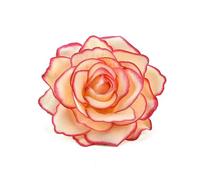 QOVBD 30pcs 9cm Large Artificial Rose Silk Flower Heads For Wedding Decoration DIY Wreath Box Scrapbooking Craft Fake Flowers-Gradient Peach