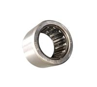 QOXEZY Motor Needle Roller Bearing for Mid-Mount Ebike Motors (BBS01 & BBS02 HD) - for DURABLE Iron Alloy, Wear-Resistant, Rotation, Direct Replacement Part