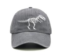 Qoyupuza Dinosaur Baseball Cap for Men Teens, Embroidered T Rex Skeleton Design Cotton Hat for Adults, Big Boys, Dino Fans, Grey, One size