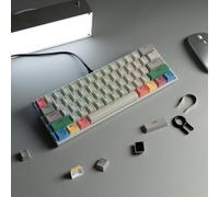 QPSJXN 60 Percent Retro Keyboard Wired Hot Swappable Mechanical With RGB Type-C Connection Various Systems(Grey)