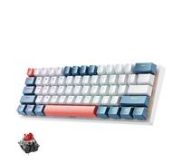 QPSJXN Machenike K500-B61 60 Percent Mechanical Keyboard 61 Wired Hot-Swappable RGB Backlit Compatible With Various Systems(US Red Switch)