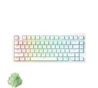 QPSJXN Mchose Jet75 Wired Mechanical Keyboard With Magnetic Switches 8k Polling Rate Hot Swap Low Latency RGB Customizable Accessories Various Systems(Starlight switch)