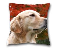 Qpswznk Cushion Covers 70x70cm Dog Set of 2 Linen Throw Pillow Covers, Soft Decorative Square Cushion Case Home Boho Decor Pillow Cases for Couch Bedroom