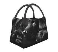QQLADY Black Labrador Puppy Insulated Lunch Bag for Men Women Reusable Lunch Box Leakproof Cooler Tote Bag for Office Work Picnic