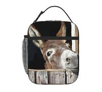 QQLADY Funny Donkey Insulated Lunch Bag for Women Men Reusable Lunch Box Leakproof Lunch Cooler Bag for Office Work