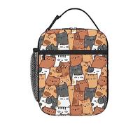 QQLADY Orange Cats Insulated Lunch Bag for Women Men Reusable Lunch Box Leakproof Lunch Cooler Bag for Office Work