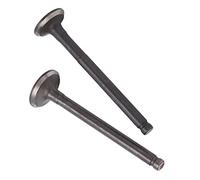 Qqmora 2PCS Cylinder Intake Exhaust Valve Replacement Kit for GY6-50/60/ Motorcycles Scooters