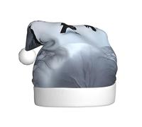 qqoupp Birds in the park on a snowy day Pattern Christmas Hat for Adult for Christmas, Halloween, New Year, sales, promotions