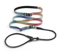 QQPETS Adjustable Slip Lead Dog Leash, Hands Free Waist Leash for Dog Walking, Reflective Training Lead with 360° Swivel Anti-Tangle, 4-7 ft Length for All Breeds