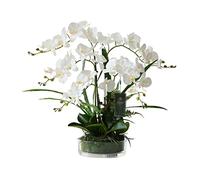 QQWW Large Artificial Silk Moth Orchid Flowers In Transparent Glass Vase Fake Flower Real Touch Phalaenopsis Flowers Arrangements (Color : White)