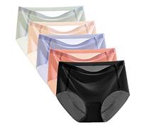 Womens Ice Silk Underwear Sexy Seamless Panties Low Waist Bikini Briefs Ladies Hipster Ice Silk Panty (5PCS,XXL)