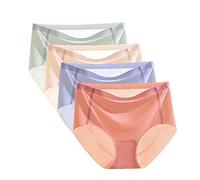 Womens Ice Silk Underwear Sexy Seamless Panties Low Waist Bikini Briefs Ladies Hipster Ice Silk Panty (4PCS,M)