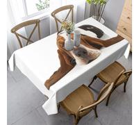 qrESONES Polyester Rectangle Table Cover Dust-Proof Tabletop Wrinkle Resistant Table Cover for Dining Party Indoor Outdoor,Basset Hound Isolated
