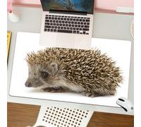 QRFASFZO Mouse Pad 31.5 × 12 inch Extended Large Mouse Mat Desk Pad, Stitched Edges Mousepad,Non-Slip Rubber Base,Hedgehog, Cute little mammal with spiky hairs on the back and sid,Gaming Mouse Pad XL
