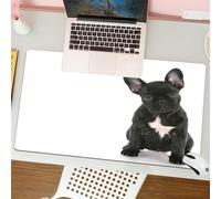 QRFASFZO Mouse Pad 31.5 × 12 inch Extended Large Mouse Mat Desk Pad, Stitched Edges Mousepad,Non-Slip Rubber Base,french bulldog sitting looking at viewer with reflection on white,Gaming Mouse Pad XL