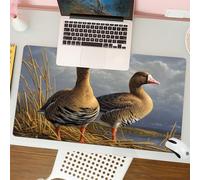 QRFASFZO Mouse Pad 31.5 × 12 inch Extended Large Mouse Mat Desk Pad, Stitched Edges Mousepad,Non-Slip Rubber Base,Two geese in the natural environment show unique feathers and sit,Gaming Mouse Pad XL