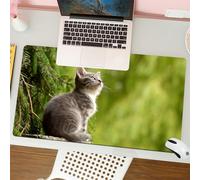 QRFASFZO Mouse Pad 31.5 × 12 inch Extended Large Mouse Mat Desk Pad, Stitched Edges Mousepad,Non-Slip Rubber Base,Animal, a gray kitten sitting on a rock, staring at the backgroun,Gaming Mouse Pad XL