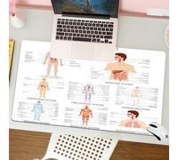 QRFASFZO Mouse Pad 31.5 × 12 inch Extended Large Mouse Mat Desk Pad, Stitched Edges Mousepad,Non-Slip Rubber Base,Human Anatomy,Complete Chart of Different Organ Body Structures C,Gaming Mouse Pad XL