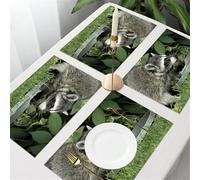 QRFASFZO Table Mats Set of 6, Place Mats Table Placemats Washable Non-slip Heat Insulation Woven Vinyl for,Animal, a curious raccoon drinking water near the basin, leaning against a lush gre,12x18 in