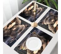 QRFASFZO Table Mats Set of 6, Place Mats Table Placemats Washable Non-slip Heat Insulation Woven Vinyl for,Animal, a calm puppy with white markings on the surface,12x18 in