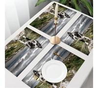 QRFASFZO Table Mats Set of 6, Place Mats Table Placemats Washable Non-slip Heat Insulation Woven Vinyl for,Animals, border collie standing on a rock with ocean and clouds in the background,12x18 in