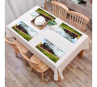 QRFASFZO Table Mats Set of 6, Place Mats Table Placemats Washable Non-slip Heat Insulation Woven Vinyl for,Historic German steam locomotive drives through the fields,12x18 in