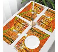 QRFASFZO Table Mats Set of 6, Place Mats Table Placemats Washable Non-slip Heat Insulation Woven Vinyl for,ng road surrounded by trees, bathed in the warm ine in bright autumn tones,12x18 in