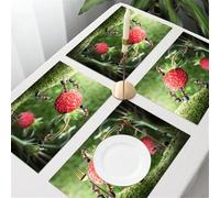 QRFASFZO Table Mats Set of 6, Place Mats Table Placemats Washable Non-slip Heat Insulation Woven Vinyl for,Ants Gathering Around a Strawberry in a Lush Green Setting.,12x18 in