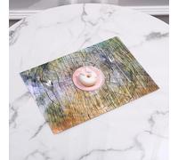 QRFASFZO Table Mats Set of 6, Place Mats Table Placemats Washable Non-slip Heat Insulation Woven Vinyl for,Rustic annual rings made of wood growth soiled inner tree body branch vertebrae wid,12x18 in
