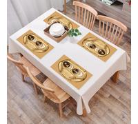 QRFASFZO Table Mats Set of 6, Place Mats Table Placemats Washable Non-slip Heat Insulation Woven Vinyl for,Doodle, Cute Sketch of Owl with Realistic Eyes,12x18 in