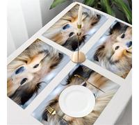 QRFASFZO Table Mats Set of 6, Place Mats Table Placemats Washable Non-slip Heat Insulation Woven Vinyl for,Animals, close-up shepherd dog, expressive eyes and fluffy coat,12x18 in
