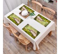 QRFASFZO Table Mats Set of 6, Place Mats Table Placemats Washable Non-slip Heat Insulation Woven Vinyl for,Hedgehog observes snails on the surface of green moss, capturing the quiet moments,12x18 in