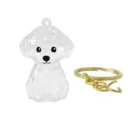 Qrity 1 Pcs Pet Hair Storage Keychain, Dog & Cat Hair Keepsake Capsule with Keyring Key Ring, Creative Pets Furs Collection Container, Memorial Gifts & Decor Accessories for Pet Lovers