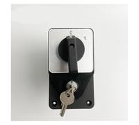 QRJAZHNTP With Key 63A 660V Circuit Control Selector LW26-63/2 Two Poles Silver Contact YMW26-63 Changeover Rotary Cam Switch(OFF-ON)