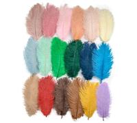 QRXALISA Ostrich Feathers Plume for Wedding 10PCS Colored Ostrich Feathers 15-60cm For Crafts Carnival Wedding DIY Table Center Decor Fluffy Ostrich Plumas Accessories Bulk(Mixed color,35-40cm)