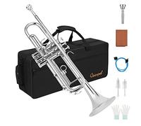 Qsanpel Bb Standard Trumpet Set for Beginner Student Brass Trumpet Instruments Silver Trumpet for Adults with Case Valve Oil 7C Mouthpiece and Cleaning Kit
