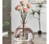 QSLKI Avocado Seed Starter Vase, Glass Avocado Tree Flower Vase, Seed Starter Vase, Seed Starter Vase Pot, Grow Your Own Avocad, Plant Hydroponic for Gardening(pink)