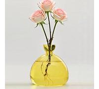 QSLKI Avocado Seed Starter Vase, Glass Avocado Tree Flower Vase, Seed Starter Vase, Seed Starter Vase Pot, Grow Your Own Avocad, Plant Hydroponic for Gardening(yellow)