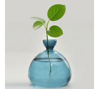 QSLKI Avocado Tree Glass Pot, Avocado Tree Growing Kit, Flower and Acorn Pot, Glass Vase for Home, Desk, Decoration for Lovers (Blue)