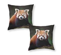 QSMGHKD Pack of 2 Cushion Covers 50×50 cm,Animal Red Panda Print Square Throw Pillow Cases,Decorative Sofa Pillowcases with Invisible Zipper for Couch Livingroom Bedroom Sofa Bed,20"×20"