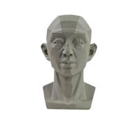 Qsnailfrr Planar Head Model for Artists Learn Planes of Face,Small Mannequin Manikin Head for Art Drawing Skecthing Study,Human Manikin Head for Medical and Artistic Drawing Skecthing Painting