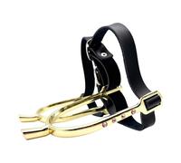 QSTDGVPW 2x Horse with Faux Leather Straps Equestrian Accessories Easy Installation Farm Boots for Women Men Entertainment, Gold