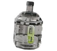 QSTDGVPW Water Storage Container, Portable Water Jug, Multifunctional Water Tank, Leak, PC Material, Beverage Dispenser, 15 L