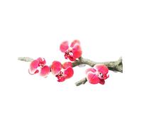 Qsvbeeqj Artificial Terrariums Plant For Lizards Climbing Branch Reptiles Corner Branch Fishtanks Accessories Pet Habitat Decors Reptiles Vine For Terrariums