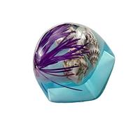 Qsvbeeqj Clear Key Caps with Underwater and Sea Creature Pattern for Mechanical Keyboards Switch Decoration Underwater Key Cap
