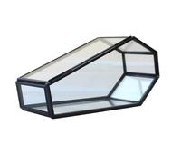 Qsvbeeqj Vintage Glass Coffin Box Glass Vampires Coffin Jewelry Box with Retro Designs for Collectors Display Storage Solution