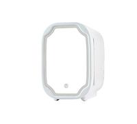 QSWL Mini Fridge,8Litres Cooler And Warmer Compact Refrigerator With AC/DC Power, Portable Fridge Great For Skincare, Foods, Home And Travel, 12V/24V (Color : A, Size : 12v110V/220V)