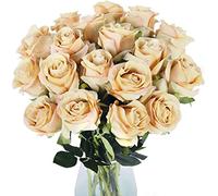 QSYJCCXD 10 Pcs Artificial Roses with Stems Real Touch Fake Velvet Silk Rose Flowers DIY Wedding Bouquets Floral Arrangements Party Home Decor