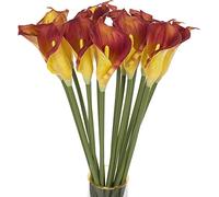 QSYJCCXD 10Pcs 67cm Artificial Calla Lily w/Long Stem Artificial Flower Bouquets Calla Lilies for Table Centerpieces Wedding Party Home Decor