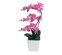 QSYJCCXD 15" Artificial Phalaenopsis w/Porcelain Vase Indoor Silk Orchid Fake Plants in Pot Faux Flowers Arrangements for Living Room Table Centerpieces Home Decor
